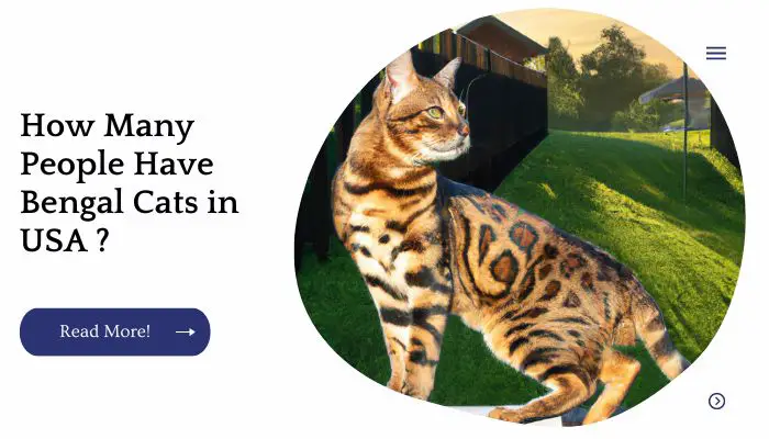 How Many People Have Bengal Cats in USA ?