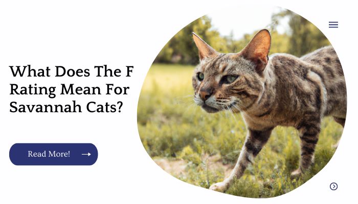 What Does The F Rating Mean For Savannah Cats?