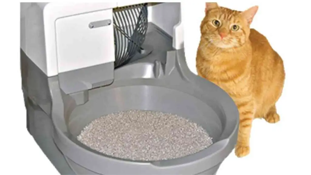 CatGenie Self Washing Cat Litter Box