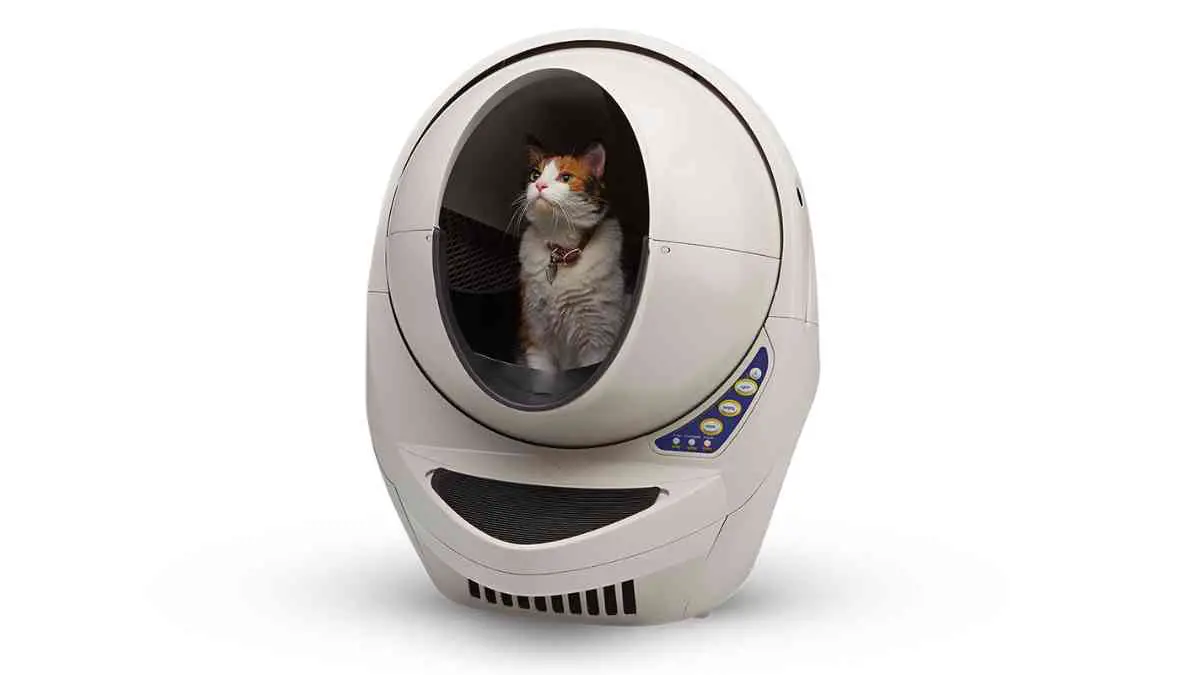 Litter-Robot Not Cycling Troubleshooting Common Issues