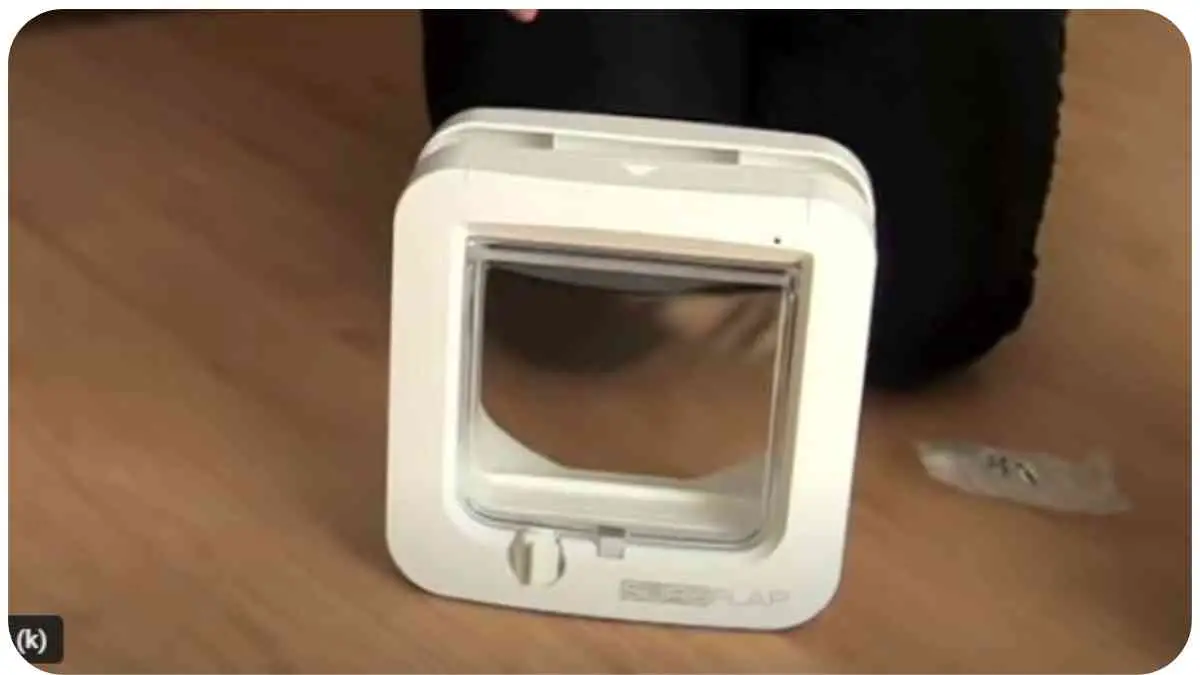 What to Do When Your SureFlap Microchip Cat Door Isn't Reading Chips